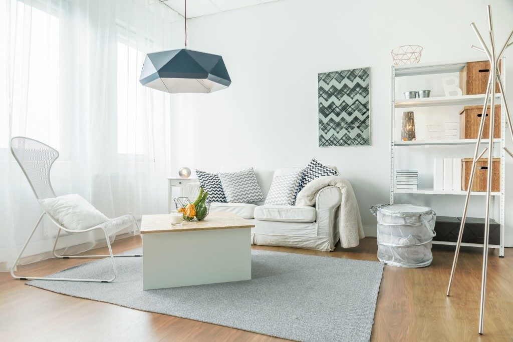 Small minimalist living room