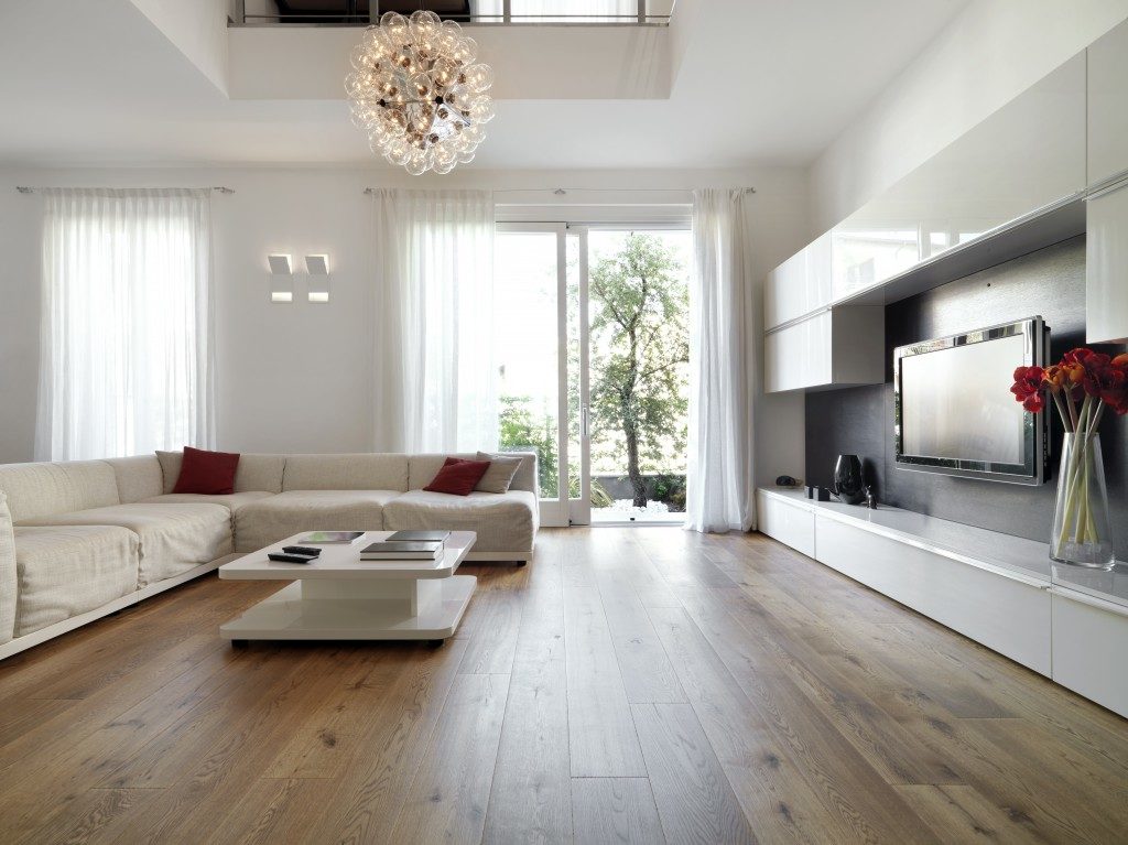 Modern living room with wooden flooring
