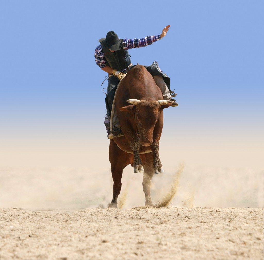 Cowboy Riding a Large Red Bull isolated with clipping path