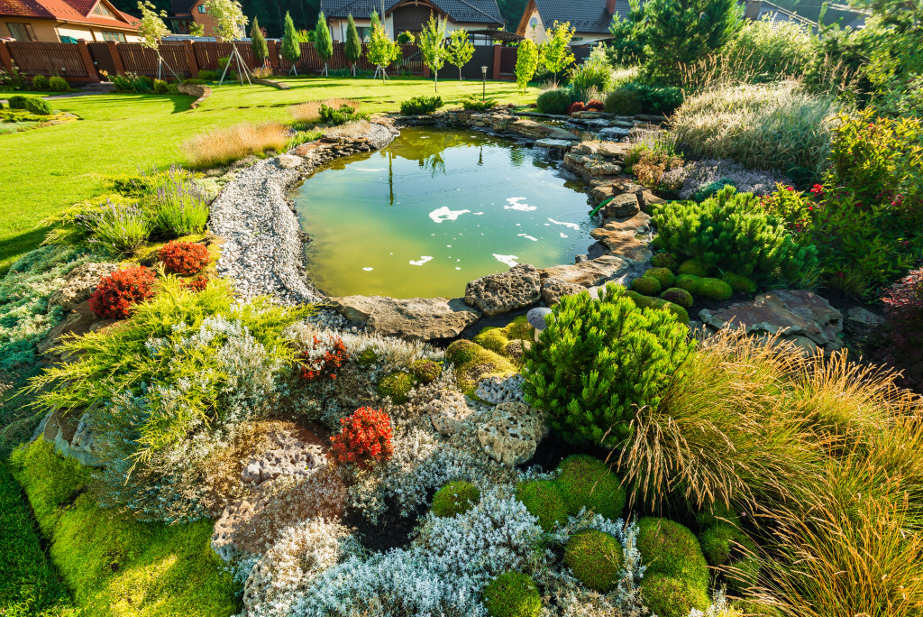 a small pond in the yard