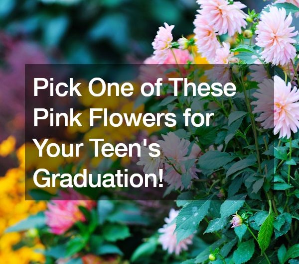 Pick One of These Pink Flowers for Your Teens Graduation!